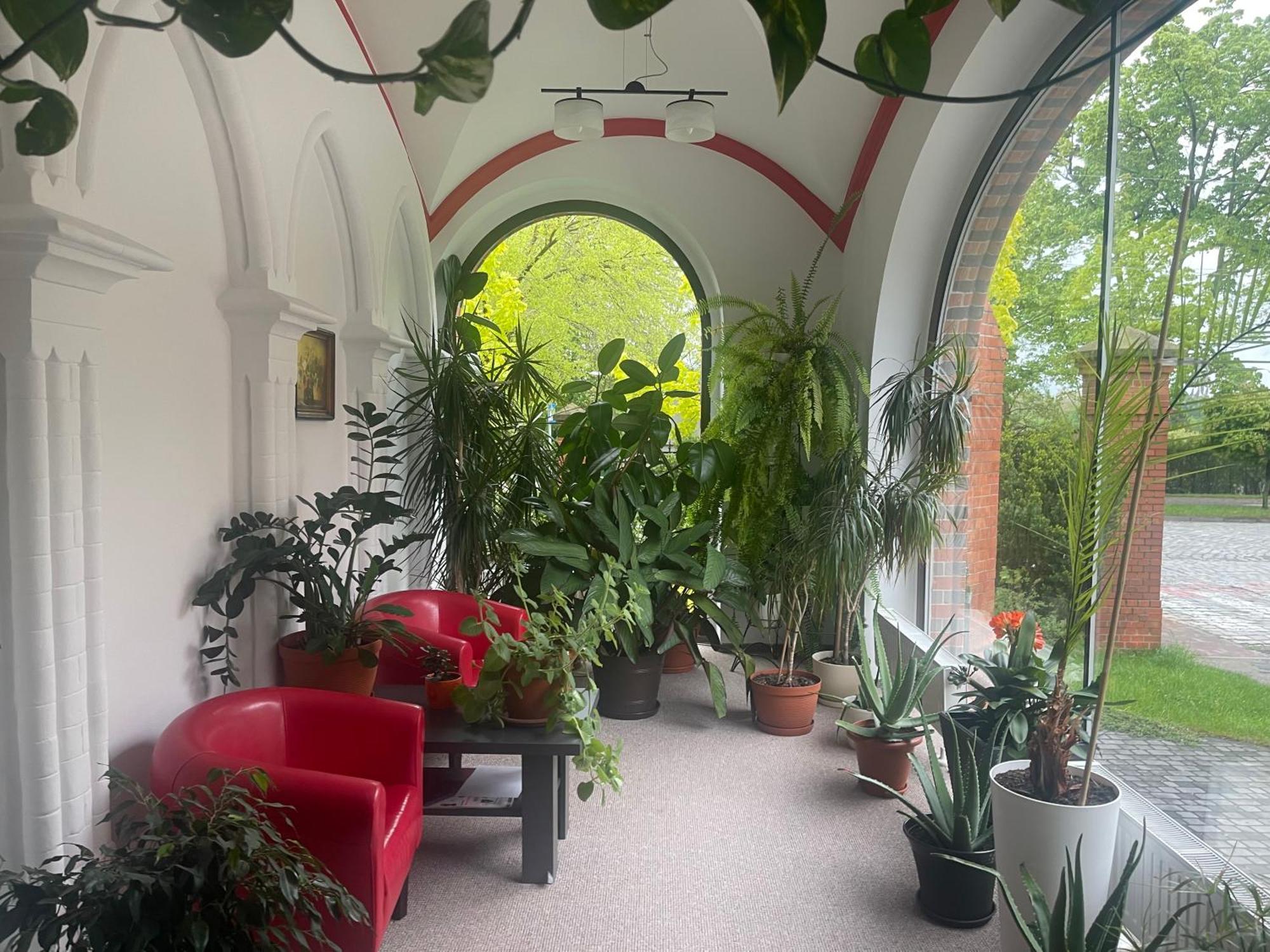 Hostel Szkolne Schronisko Mlodziezowe Dabrowka Prudnik Exterior foto